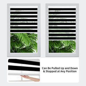 Free-Stop Zebra Blinds for Windows