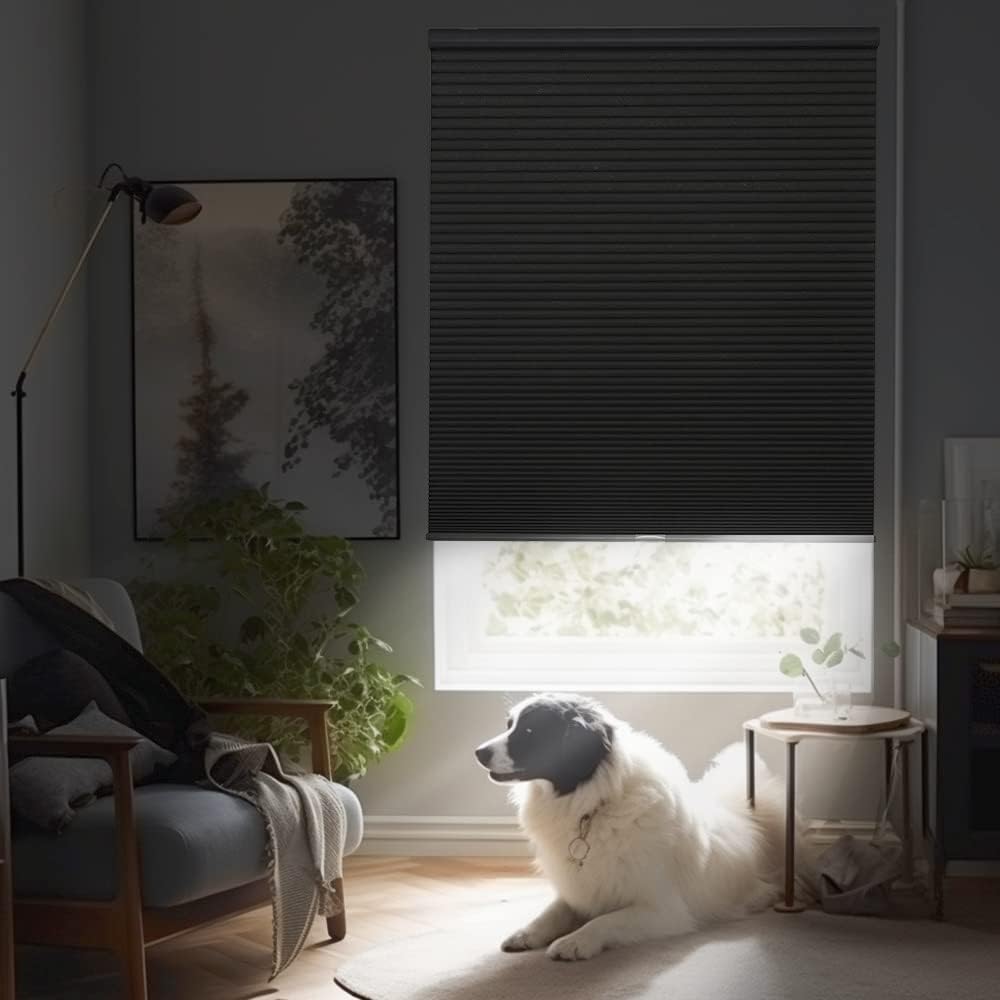 Black cordless cellular blackout shade installed on window, dog resting on rug in cozy room.