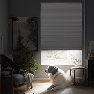 Joydeco black cordless blackout cellular shade on window, providing privacy. Dog relaxing nearby.