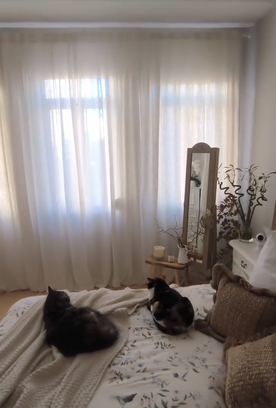 Elevating Your Home: How Curtains Can Change Everything