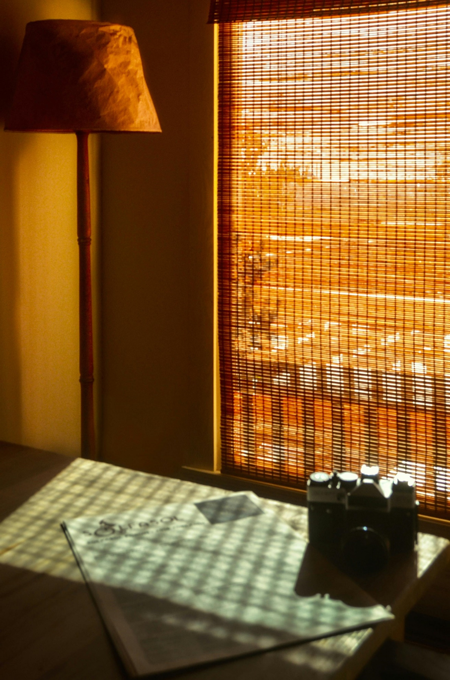 What Is Special About Bamboo Blackout Shades Which Makes It Unique?