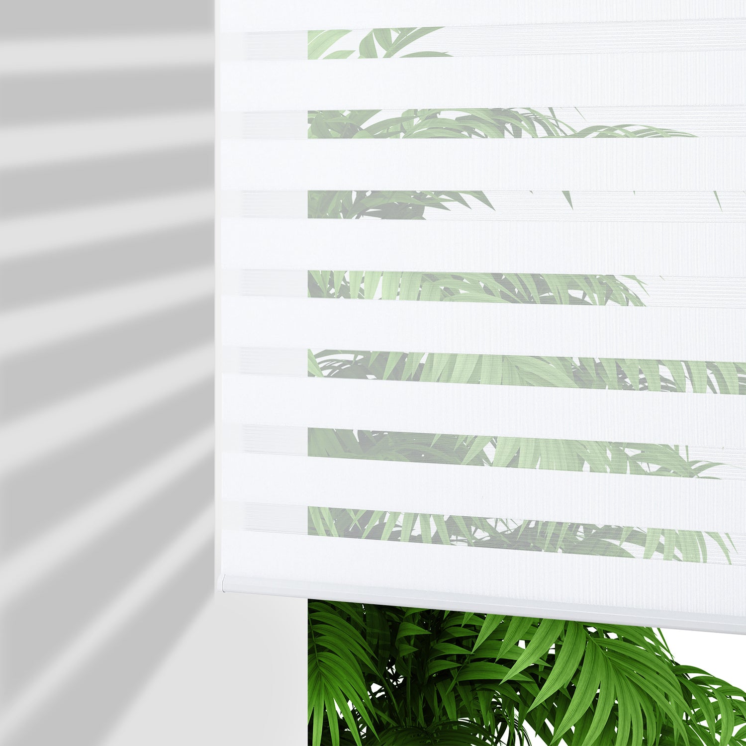 White zebra blind with alternating bands filtering sunlight on a wall, showing tropical leaves through sheer sections.