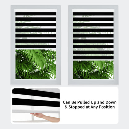 Free-Stop Zebra Blinds for Windows