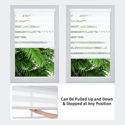 White Free-Stop zebra blinds in windows, filtering sunlight, showing palm leaves. Cordless operation demonstrated.