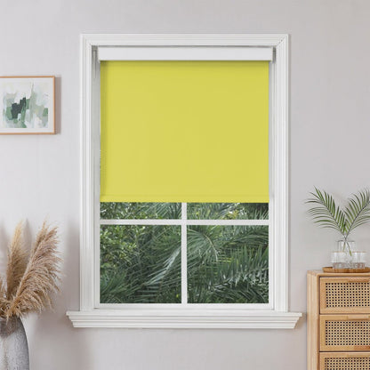 Joydeco Custom Traditional Blackout Roller Shades