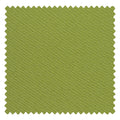 Sage Green 19