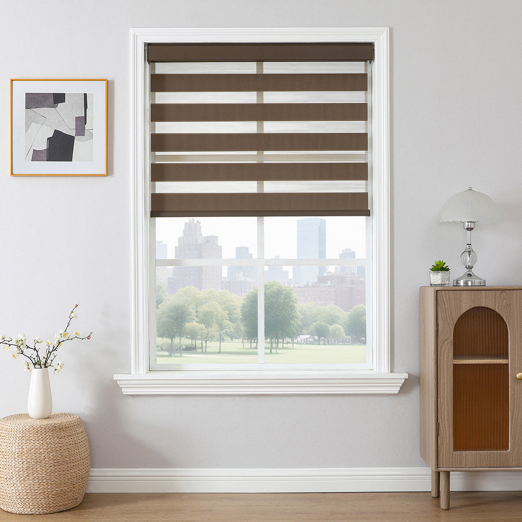 Joydeco Cordless Zebra Blinds for Windows, Dual Layer Light Control Window Blinds with Light-Proof Aluminum Cover, Free-Stop Roller Shades for Home & Office