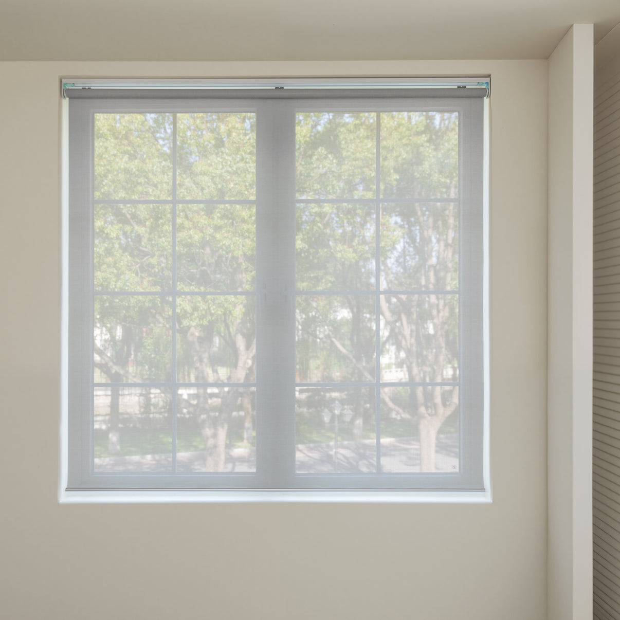 Cove Light Filtering Solar Roller Shade, grey semi-sheer polyester fabric.
