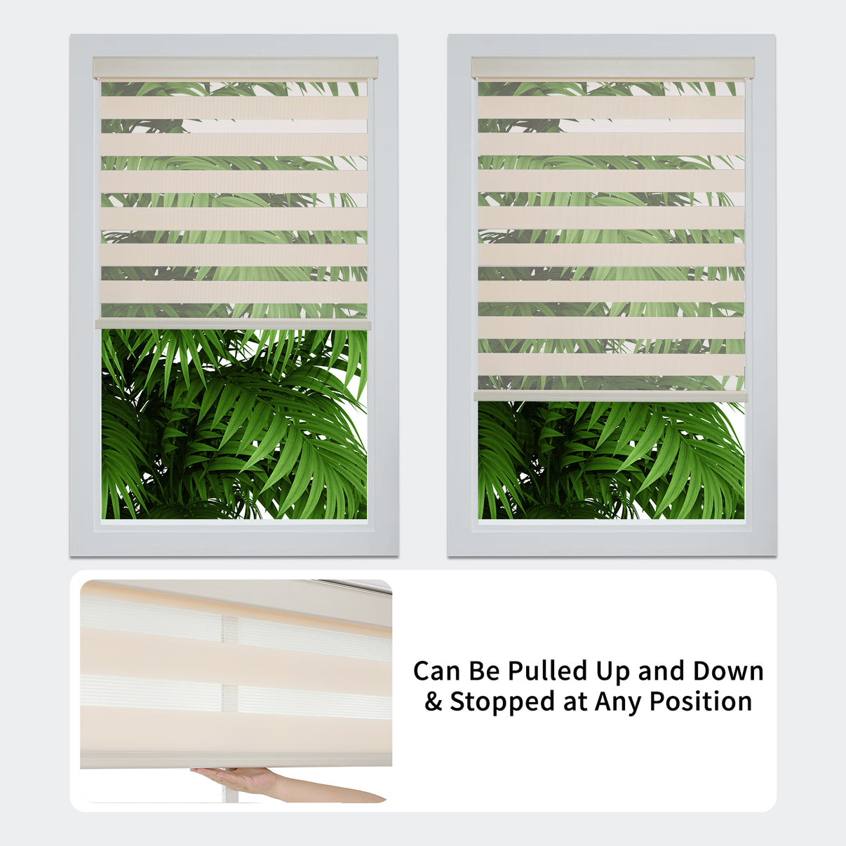 Free-Stop Zebra Blinds for Windows
