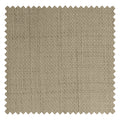 Light Brown 06