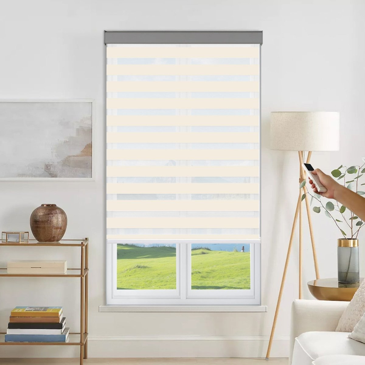 Joydeco motorized dual zebra shade remote operation, light filtering fabric, grey valance on living room window.