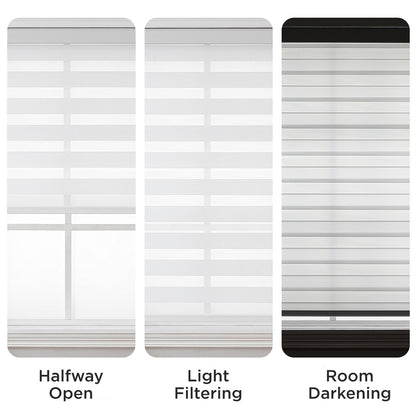 Joydeco Cordless Zebra Blinds for Windows, Dual Layer Light Control Window Blinds with Light-Proof Aluminum Cover, Free-Stop Roller Shades for Home & Office