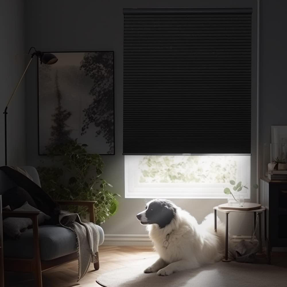 Black cordless cellular blackout shade partially lowered on a window, creating ambiance with a dog relaxing nearby.